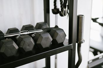 a row of dumbbells in a gym